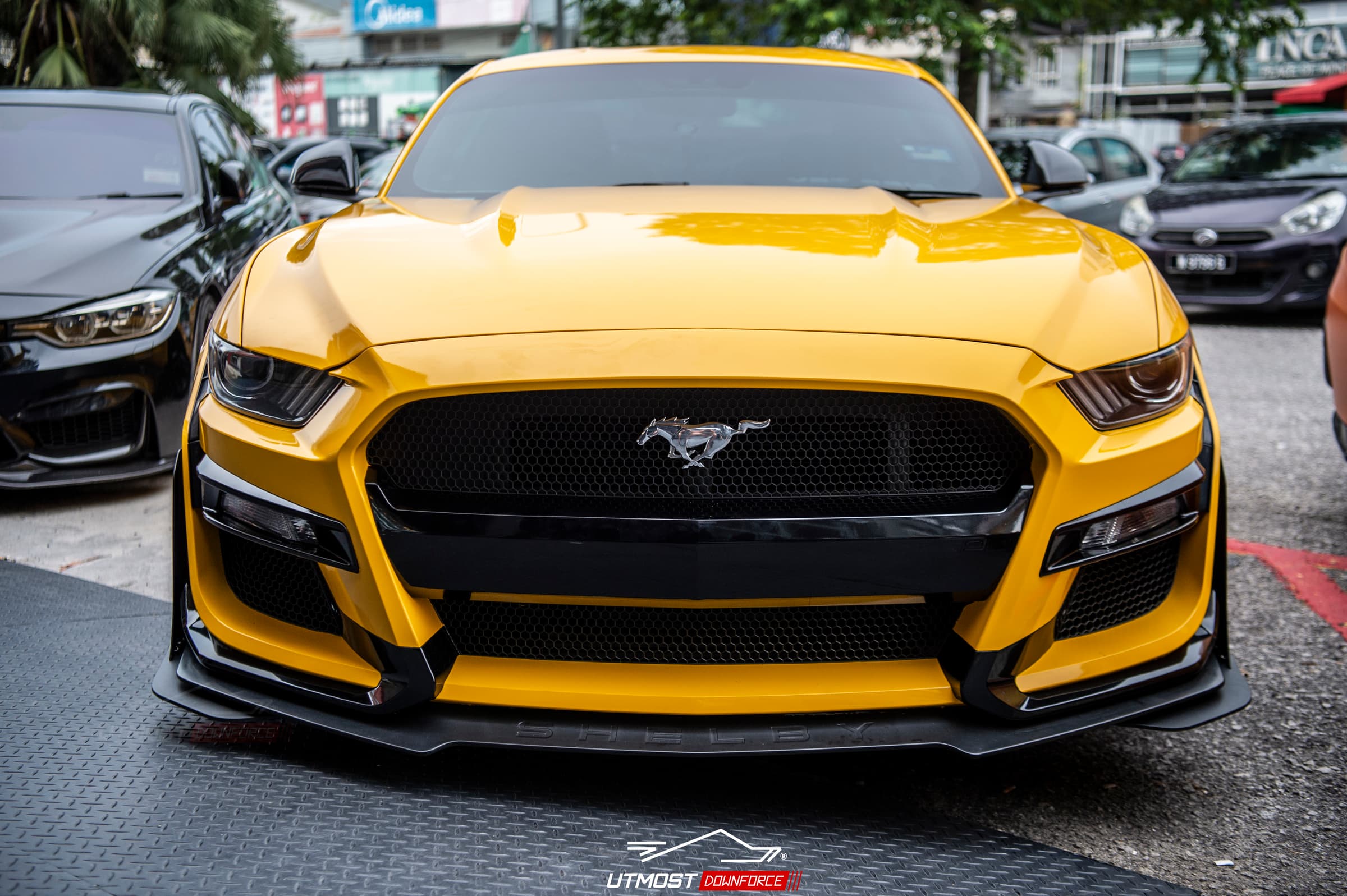 Gloss Dark Yellow Gloss wrap by Avery Dennison, photograph 2 of 17